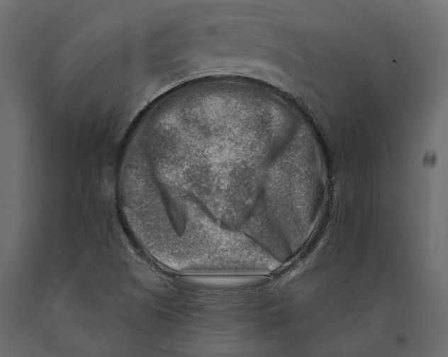 X0000090931505200708271034