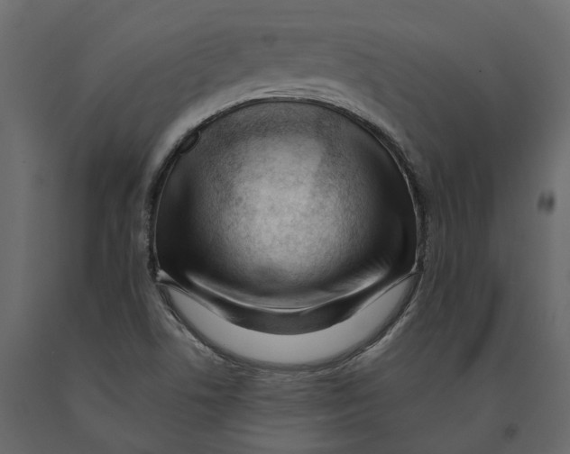 X0000090931506200708271034