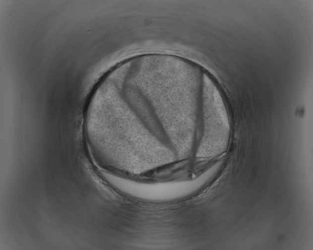 X0000090931507200708271034