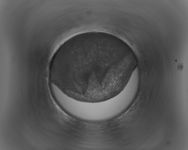 X0000090931508200708271034