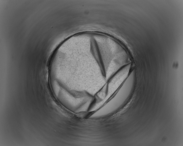 X0000090931509200708271034