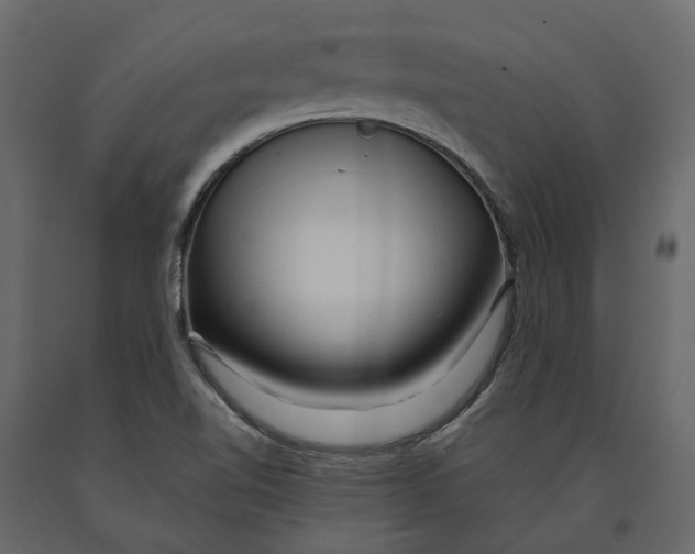 X0000090931510200708271034