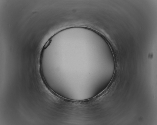 X0000090931512200708271034