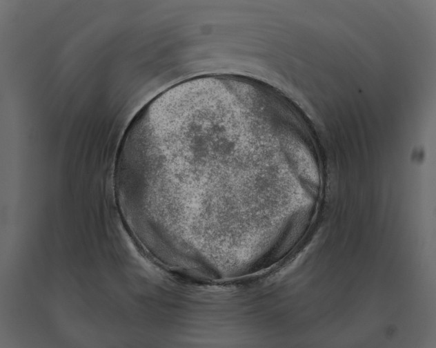 X0000090931513200708271034