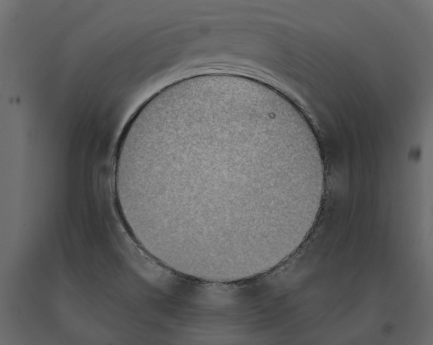 X0000090931514200708271034