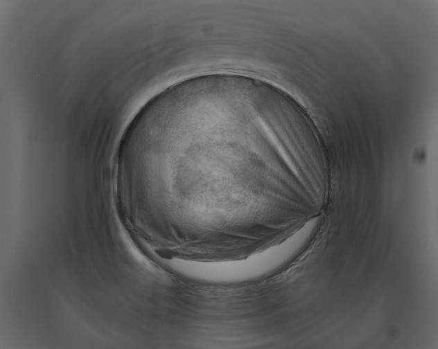 X0000090931515200708271034