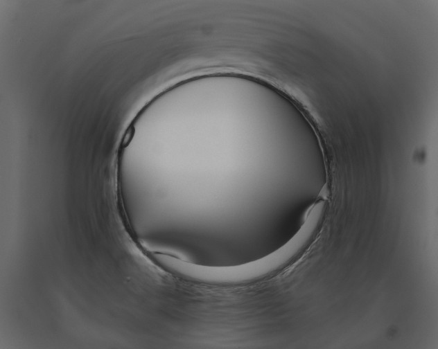 X0000090931516200708271034