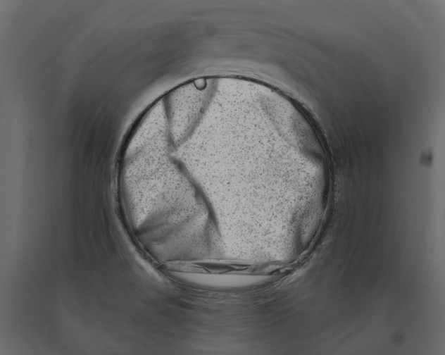 X0000090931517200708271034