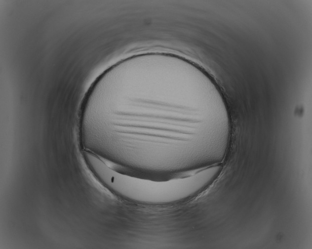 X0000090931518200708271034