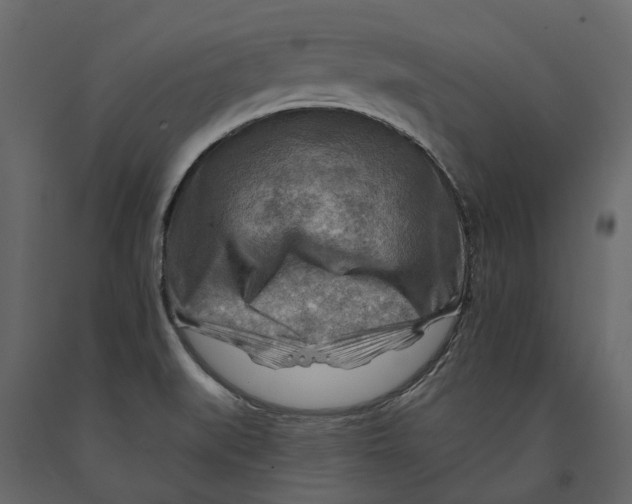 X0000090931519200708271034