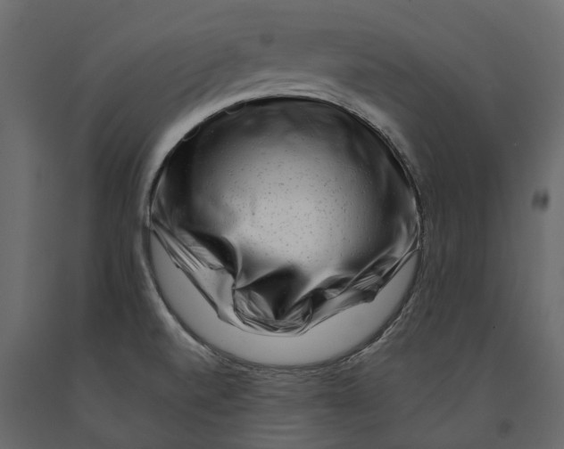 X0000090931520200708271034