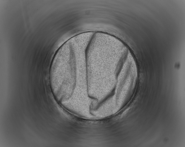 X0000090931521200708271034