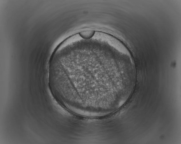 X0000090931522200708271034