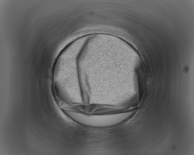 X0000090931523200708271034