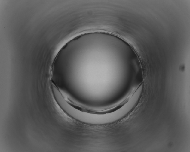 X0000090931524200708271034