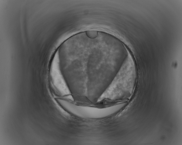 X0000090931525200708271034