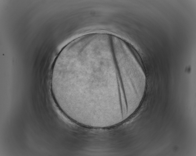 X0000090931526200708271034