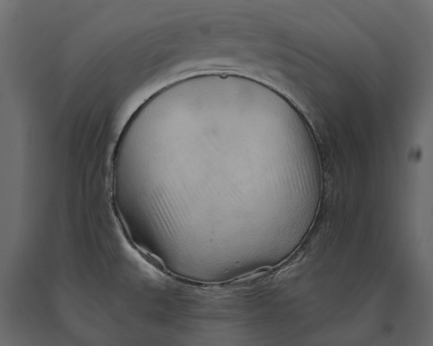 X0000090931527200708271034