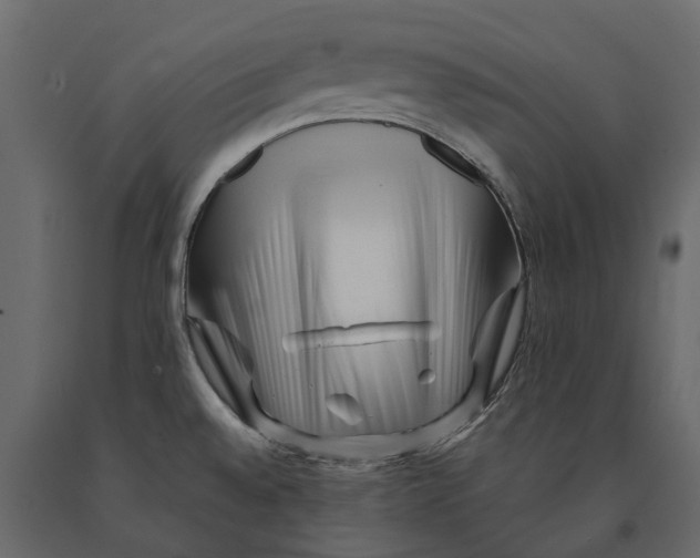 X0000090931528200708271034