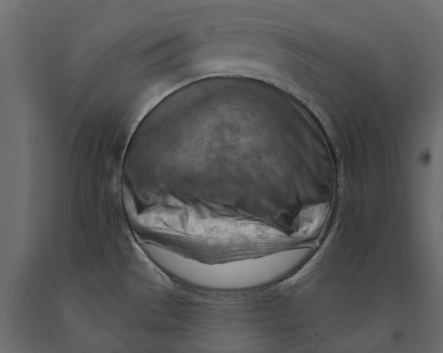 X0000090931529200708271034