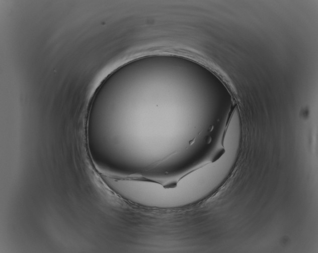 X0000090931530200708271034