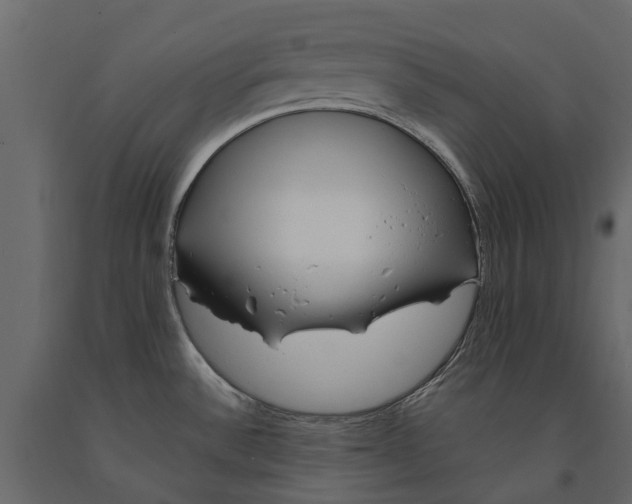 X0000090931532200708271034