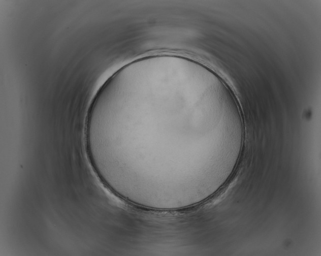 X0000090931533200708271034