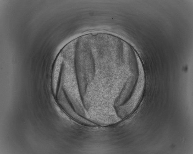 X0000090931534200708271034