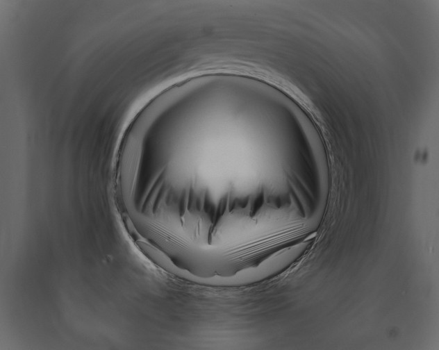 X0000090931536200708271034