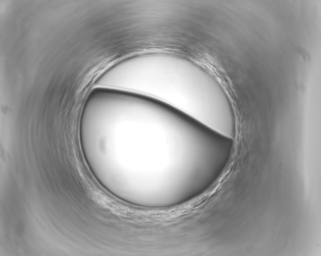 X0000090950001200708021111