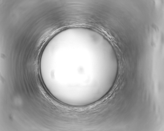 X0000090950002200708021111