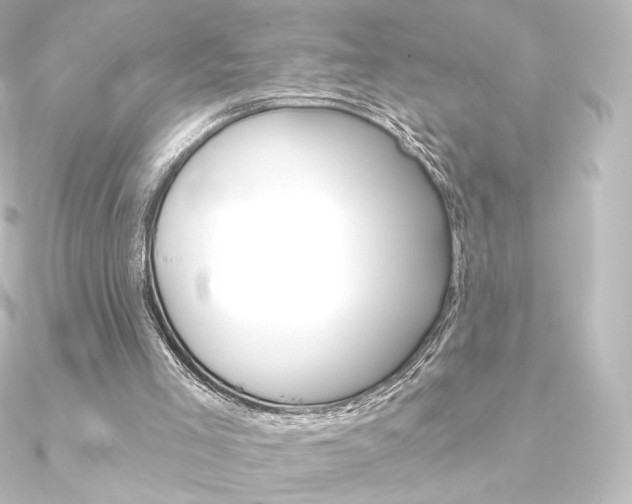 X0000090950005200708021111