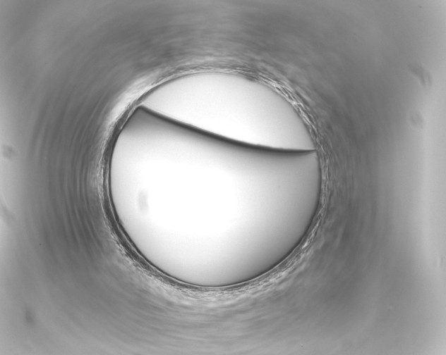 X0000090950006200708021111