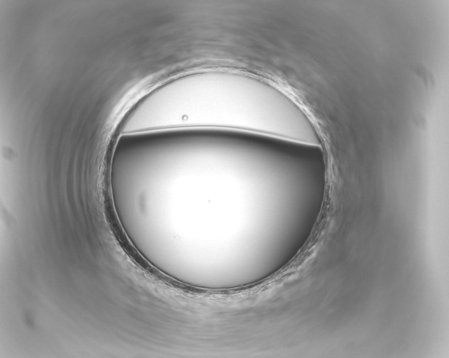 X0000090950007200708021111