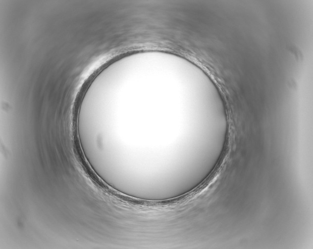 X0000090950008200708021111