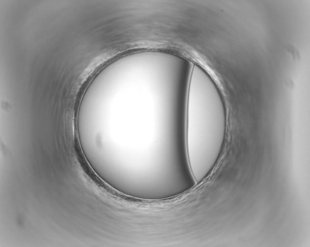 X0000090950011200708021111