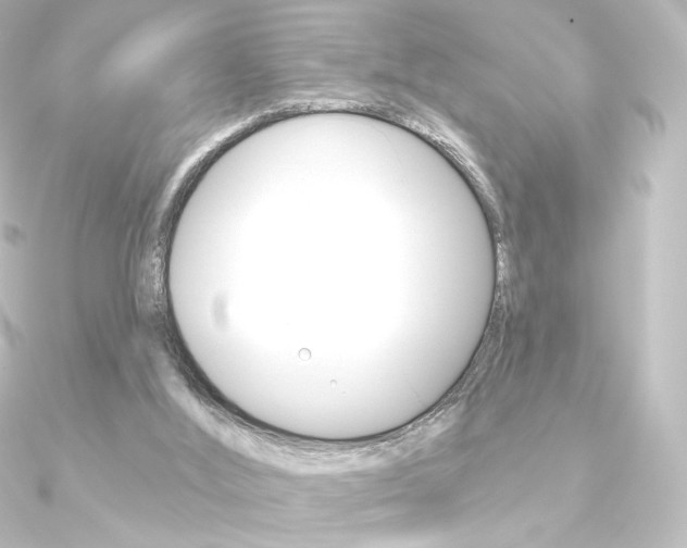X0000090950012200708021111