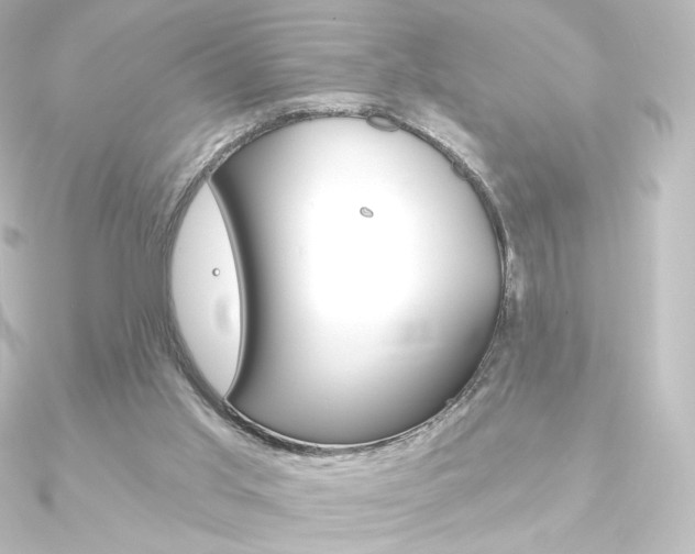 X0000090950013200708021111