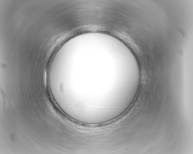 X0000090950014200708021111