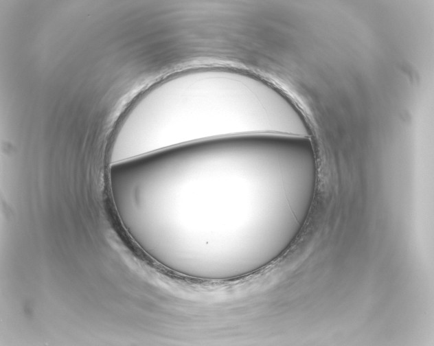 X0000090950015200708021111