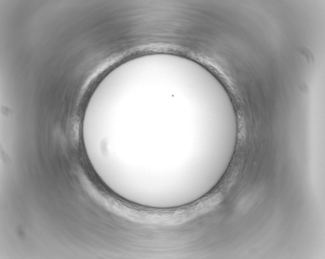 X0000090950016200708021111