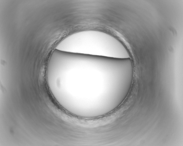 X0000090950018200708021110