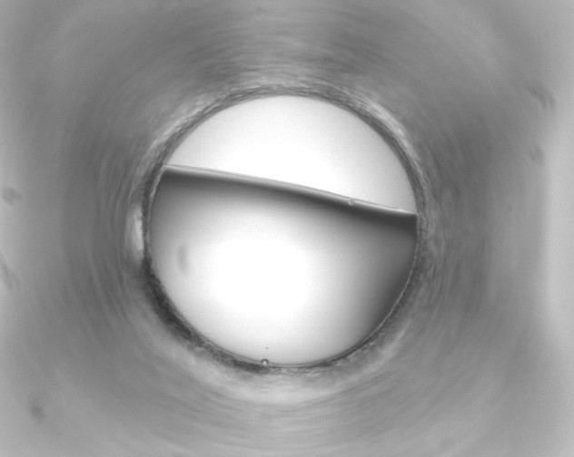 X0000090950020200708021110