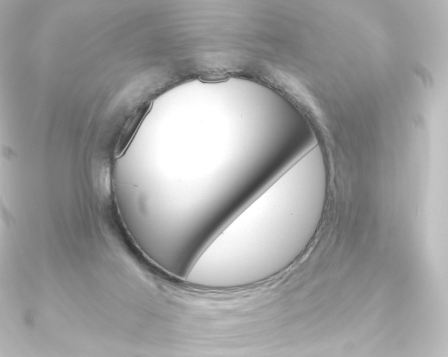 X0000090950021200708021110