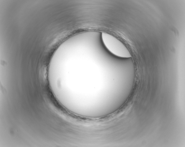 X0000090950024200708021110