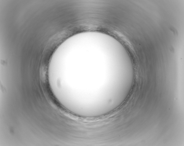 X0000090950026200708021110