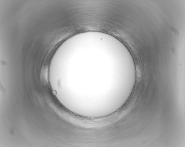 X0000090950028200708021110