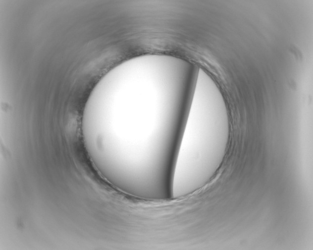 X0000090950029200708021110