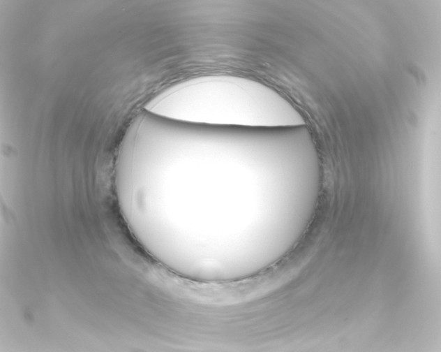 X0000090950030200708021110