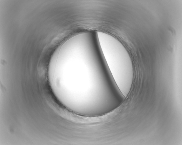 X0000090950031200708021110